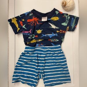 Set of 4 Hanna Andersson 18-24m clothes, Lots of two sets Shirts & Shorts, 18 mo